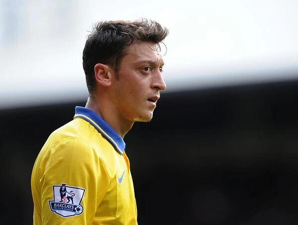 Mesut Ozil in Action: Crystal Palace vs. Arsenal, Premier League 2013-14
