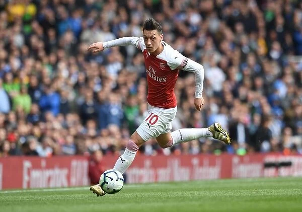Mesut Ozil: Arsenal Star in Action against Brighton & Hove Albion, Premier League 2018-19
