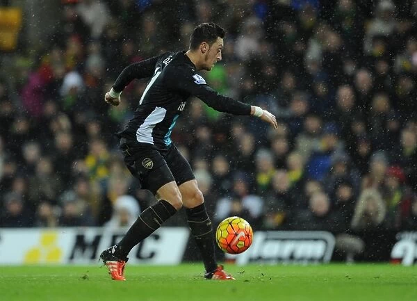 Mesut Ozil scores Arsenals goal. Norwich City 1: 1 Arsenal. Barclays Premier League