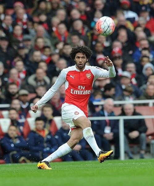 Mohamed Elneny in FA Cup Action: Arsenal vs. Hull City