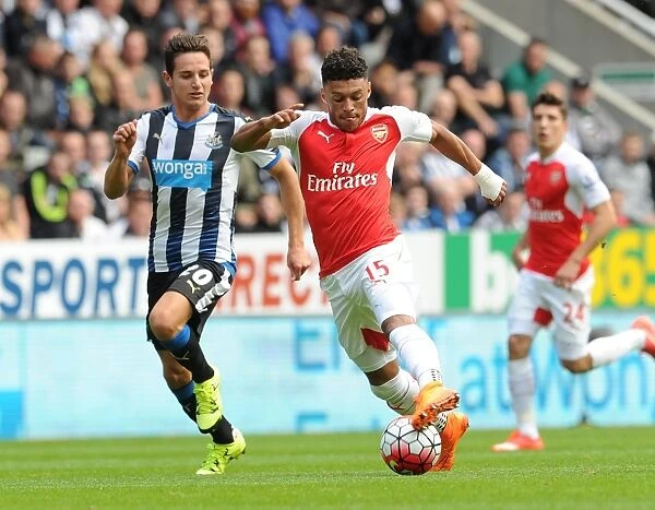 Oxlade-Chamberlain Outruns Thauvin: Arsenal's Star Forward Outpaces Newcastle's Defender in Premier League Showdown (2015-16)