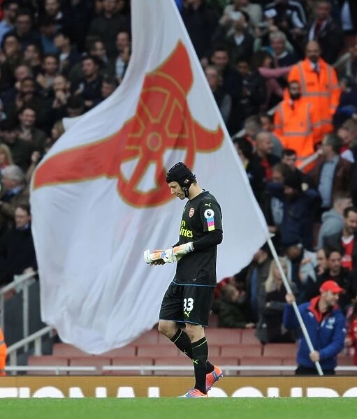 Petr Cech's Reaction: Arsenal v Swansea City, 2016-17 Premier League