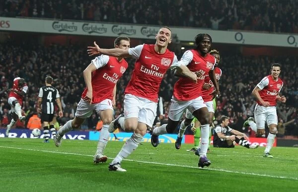 Robin van Persie's Brace: Arsenal's Triumph Over Newcastle United in the 2011-12 Premier League