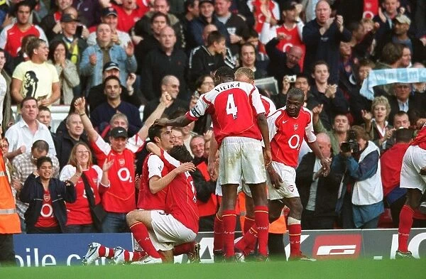 Robin van Persie's Thrilling Goal: Arsenal's Comeback at Highbury (2:2 vs Southampton)