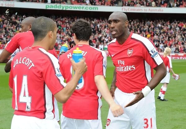 Sol Campbell and Theo Walcott (Arsenal). Arsenal 4: 0 Fulham, Barclays Premier League