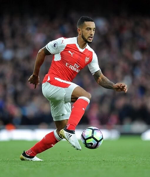 Theo Walcott in Action: Arsenal vs Middlesbrough, Premier League 2016-17