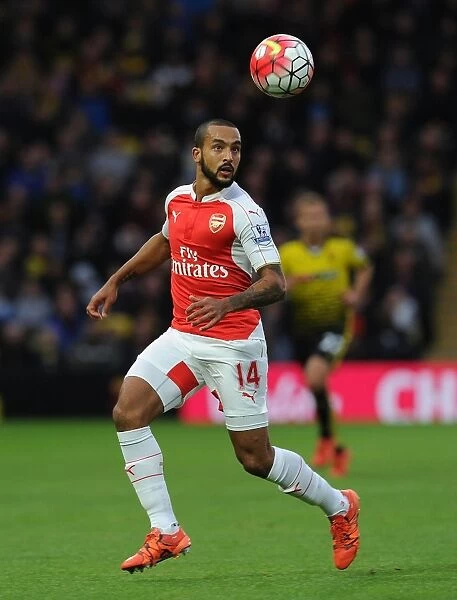 Theo Walcott in Action: Arsenal's Star Forward Shines Against Watford, Premier League 2015 / 16