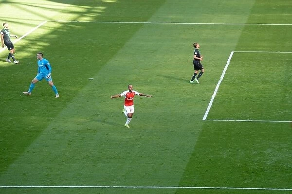 Theo Walcott's Strike: Arsenal's Victory Over Stoke City in the Premier League 2015-16