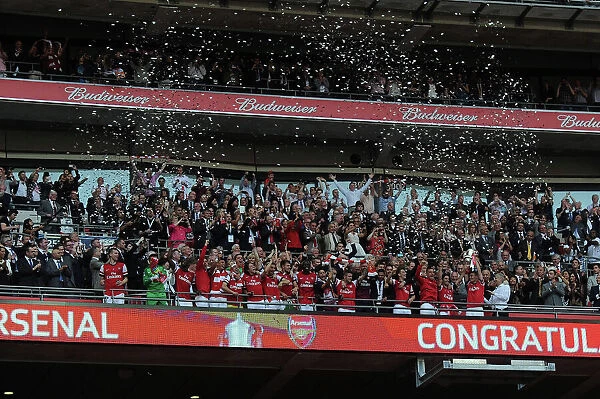 Thomas Vermaelen Lifts the FA Cup: Arsenal's Triumph at Wembley Stadium