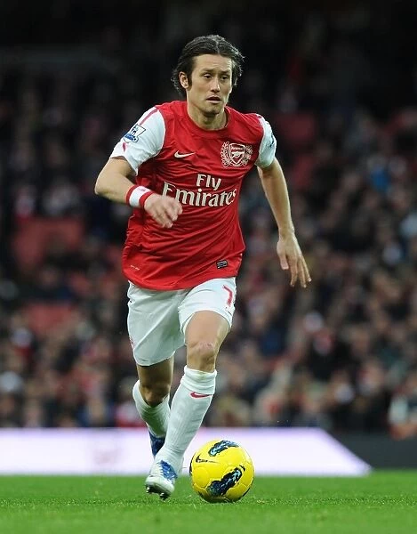 Tomas Rosicky in Action: Arsenal vs. Wolverhampton Wanderers, Premier League 2011-2012