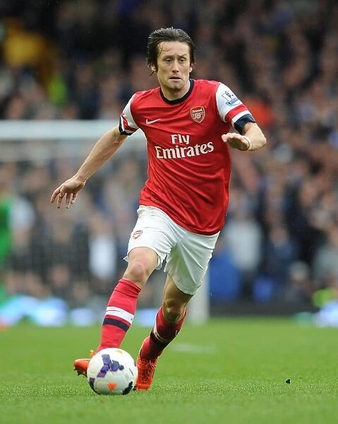 Tomas Rosicky in Action: Everton vs Arsenal, Premier League 2013 / 14