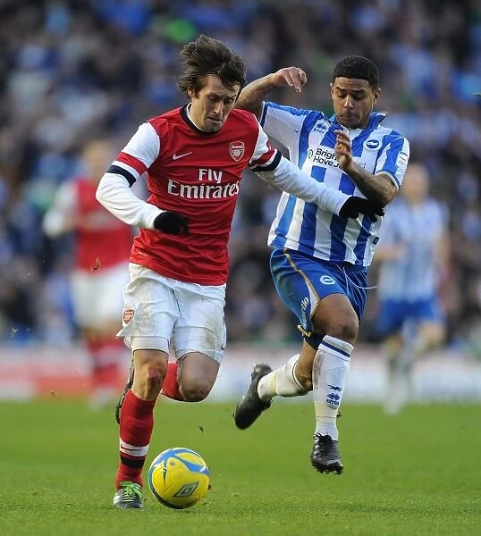 Tomas Rosicky Outmaneuvers Liam Bridcutt in FA Cup Clash between Brighton & Arsenal