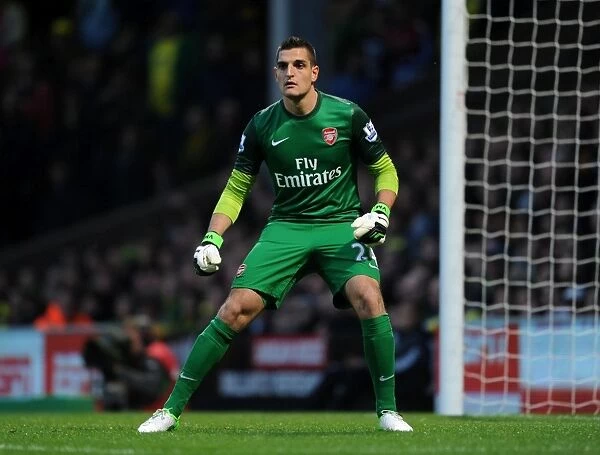 Vito Mannone: Arsenal Goalkeeper in Action Against Norwich City (2012-13)