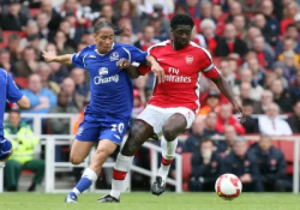 Buy Kolo Toure (Arsenal) Steven Pienaar (Everton)
