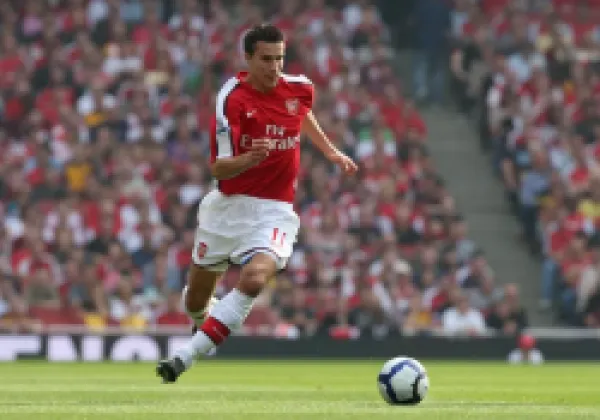 Buy Robin van Persie (Arsenal)