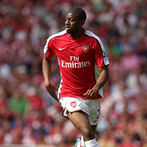 Abou Diaby's Dominant Display: Arsenal's 4:1 Victory Over Portsmouth in the Premier League (2009)