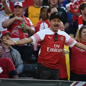 Arsenal Fans at Colorado Rapids Pre-Season Match, 2019