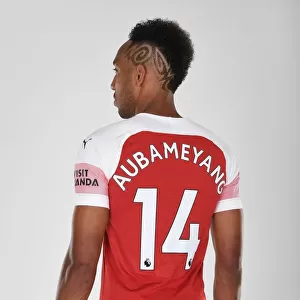 Arsenal's 2018/19 First Team: Pierre-Emerick Aubameyang