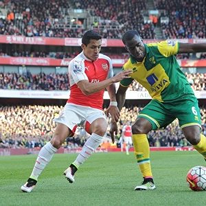 Arsenal's Alexis Sanchez Closes In on Norwich's Sebastien Bassong during the 2015-16 Premier League Match