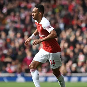Arsenal's Aubameyang Scores Twice: Arsenal Outshine Brighton in Premier League Clash