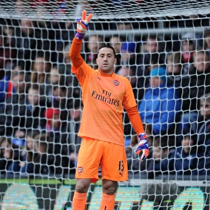 Arsenal's David Ospina in Action During the 2014-15 Premier League Match Against Crystal Palace