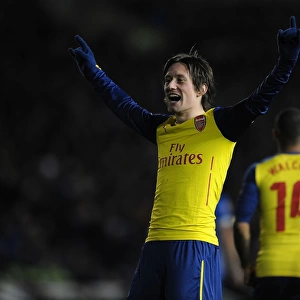 Arsenal's Rosicky Scores Thrilling FA Cup Goal Against Brighton & Hove Albion