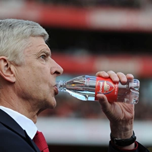 Arsene Wenger: Arsenal Manager Before Arsenal vs Crystal Palace, Premier League 2015-16