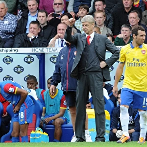 Arsene Wenger the Arsenal Manager. Crystal Palace 0: 2 Arsenal. Barclays Premier League