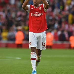 Aubameyang's Emotional Reaction: Arsenal vs. Tottenham (2019-20)