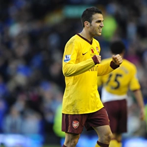 Cesc Fabregas: Arsenal's Leader in 1-2 Victory over Everton (14/11/2010)
