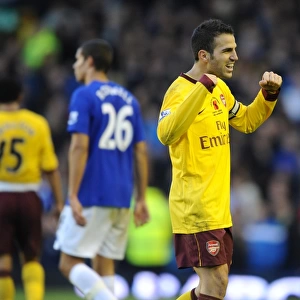 Cesc Fabregas: Arsenal's Leader in Everton Victory, Premier League 2010