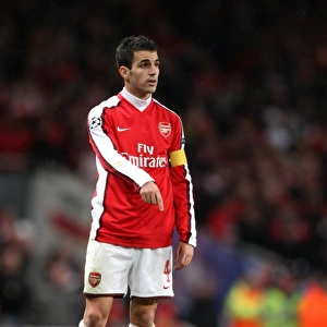 Cesc Fabregas Leadership: Arsenal's 2-0 Victory over Standard Liege in Champions League Group H