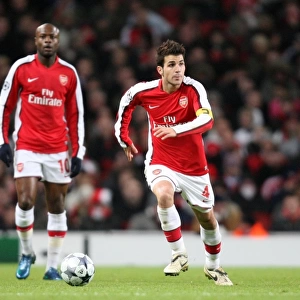 Cesc Fabregas: Leading Arsenal to a 1:0 Victory Over Dynamo Kiev in the UEFA Champions League, Group G at Emirates Stadium (November 25, 2008)