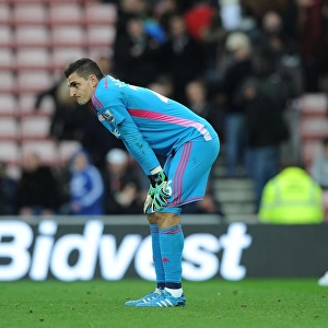 Dejected Vito Mannone: Arsenal's Second Goal Decides Sunderland's Fate (2014/15)