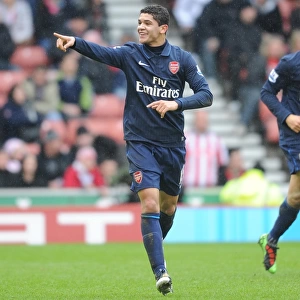 Denilson celebrates scoring the Arsenal goal. Stoke City 3: 1 Arsenal, FA Cup 4th round