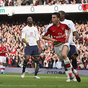 Fabregas Brilliant Goal: Arsenal's 3-0 Victory Over Tottenham, 2009