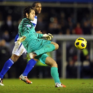 Lucasz Fabianski (Arsenal). Birmingham City 0: 3 Arsenal, Barclays Premier League