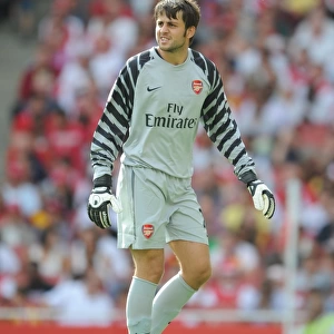 Lukasz Fabianski (Arsenal). Arsenal 1: 1 AC Milan. Emirates Cup, pre season