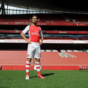 Mathieu Flamini (Arsenal). Arsenal 1st Team Photocall. Emirates Stadium, 7 / 8 / 14. Credit