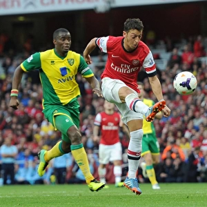 Mesut Ozil vs Sebastien Bassong: Intense Battle at Arsenal v Norwich City, 2013-14