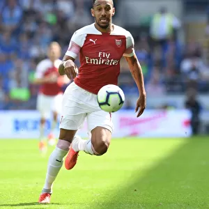 Pierre-Emerick Aubameyang in Action: Cardiff City vs. Arsenal, Premier League 2018-19