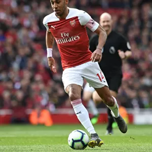Pierre-Emerick Aubameyang in Action for Arsenal Against Brighton & Hove Albion, Premier League 2018-19