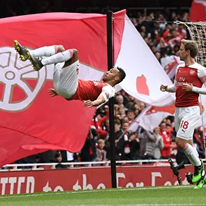 Pierre-Emerick Aubameyang's Thrilling Goal: Arsenal FC vs Brighton & Hove Albion, Premier League 2018-19