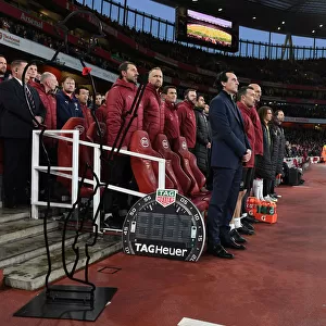 Remembrance Sunday: Unai Emery Leads Silence Ahead of Arsenal vs. Wolverhampton Wanderers