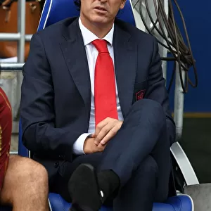 Unai Emery Leads Arsenal in Premier League Battle against Cardiff City (2018-19)