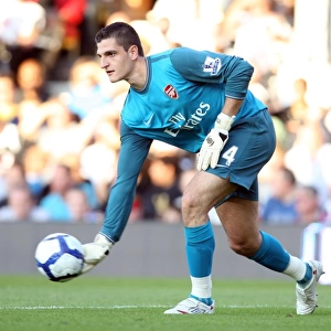 Vito Mannone: The Hero of Arsenal's 1-0 Victory over Fulham in the Barclays Premier League