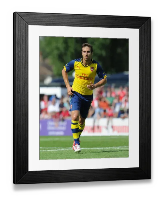 Framed Print : Mathieu Flamini in Action: Arsenal's Pre-Season Battle at Boreham Wood Framed Print : Mathieu Flamini in Action: Arsenal's Pre-Season Battle at Boreham Wood