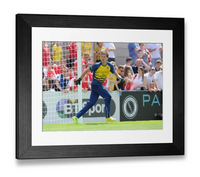 Framed Print : Wojciech Szczesny (Arsenal) warms up before the match. Boreham Wood 0: 2 Arsenal Framed Print : Wojciech Szczesny (Arsenal) warms up before the match. Boreham Wood 0: 2 Arsenal