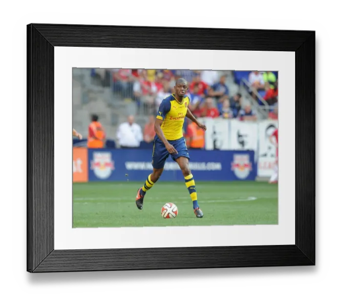 Framed Print : Abou Diaby: Arsenal Star in Action Against New York Red Bulls (2014) - Pre-Season Friendly Framed Print : Abou Diaby: Arsenal Star in Action Against New York Red Bulls (2014) - Pre-Season Friendly