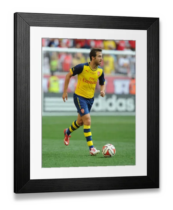 Framed Print : Mathieu Flamini in Action: Arsenal vs. New York Red Bulls - Pre-Season Friendly, 2014 Framed Print : Mathieu Flamini in Action: Arsenal vs. New York Red Bulls - Pre-Season Friendly, 2014